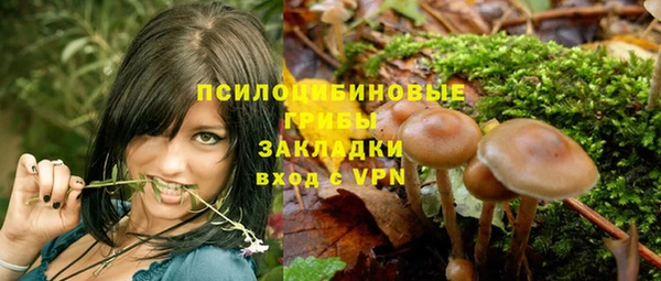 PSILOCYBIN Арсеньев