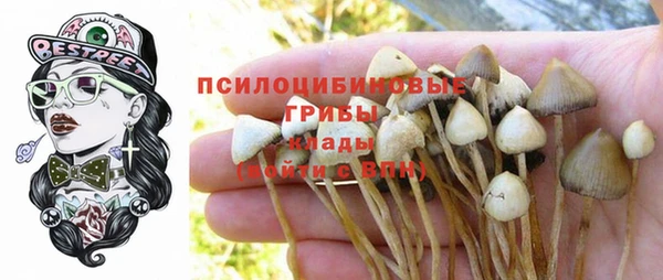 дмт Алексеевка